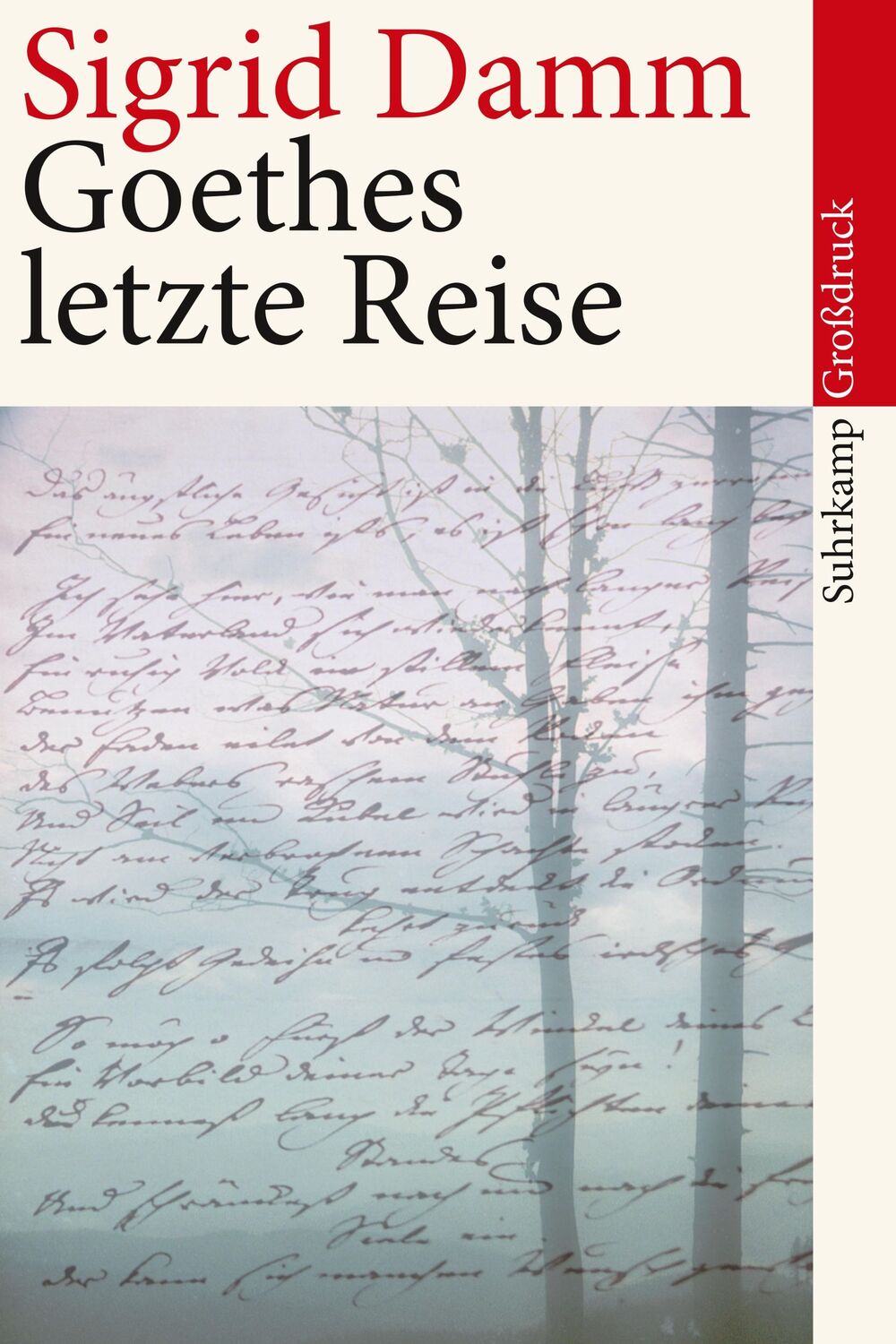 Cover: 9783518462034 | Goethes letzte Reise. Großdruck | Sigrid Damm | Taschenbuch | 424 S.