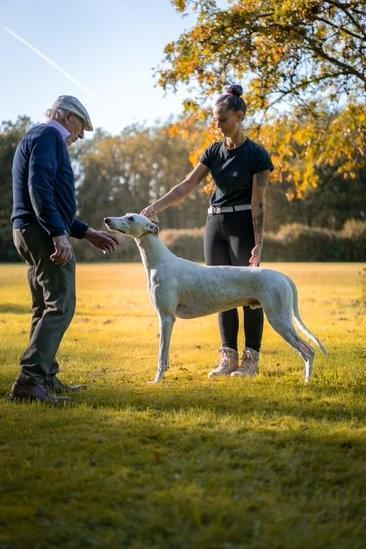 Bild: 9783275023103 | Hunde richtig ausstellen | Nicole Röder (u. a.) | Taschenbuch | 96 S.