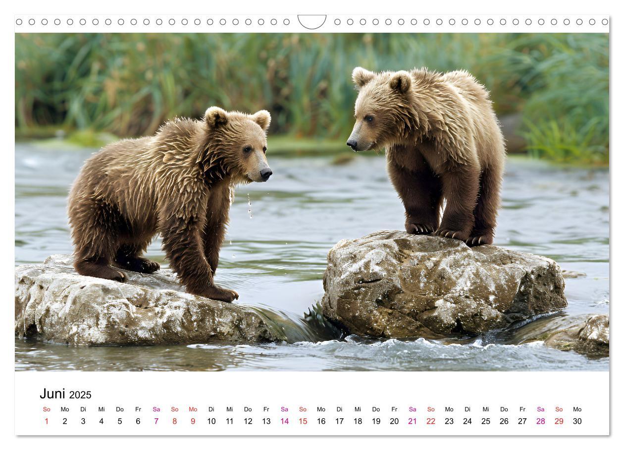 Bild: 9783457170441 | Bären - gefährlich nett (Wandkalender 2025 DIN A3 quer), CALVENDO...