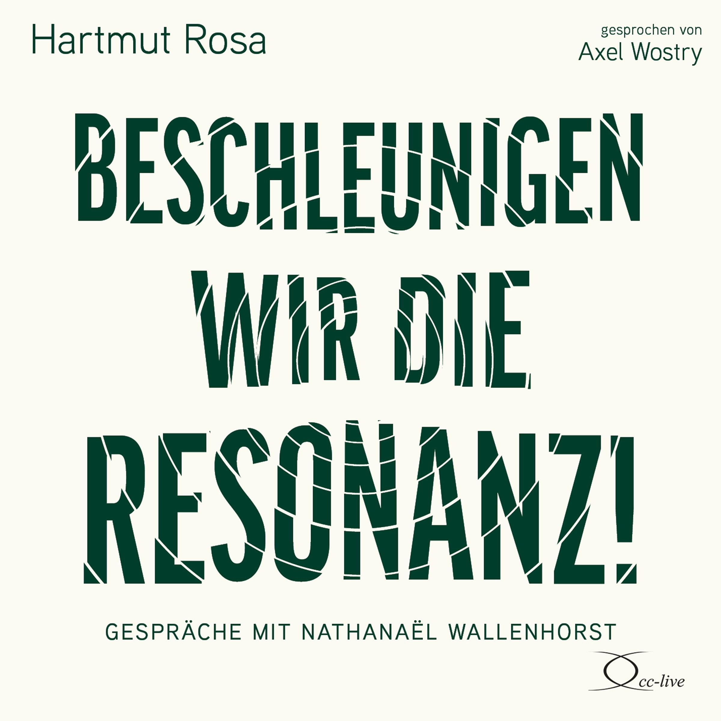 Cover: 9783956163340 | Beschleunigen wir die Resonanz! | Hartmut Rosa | Audio-CD | 4 S.