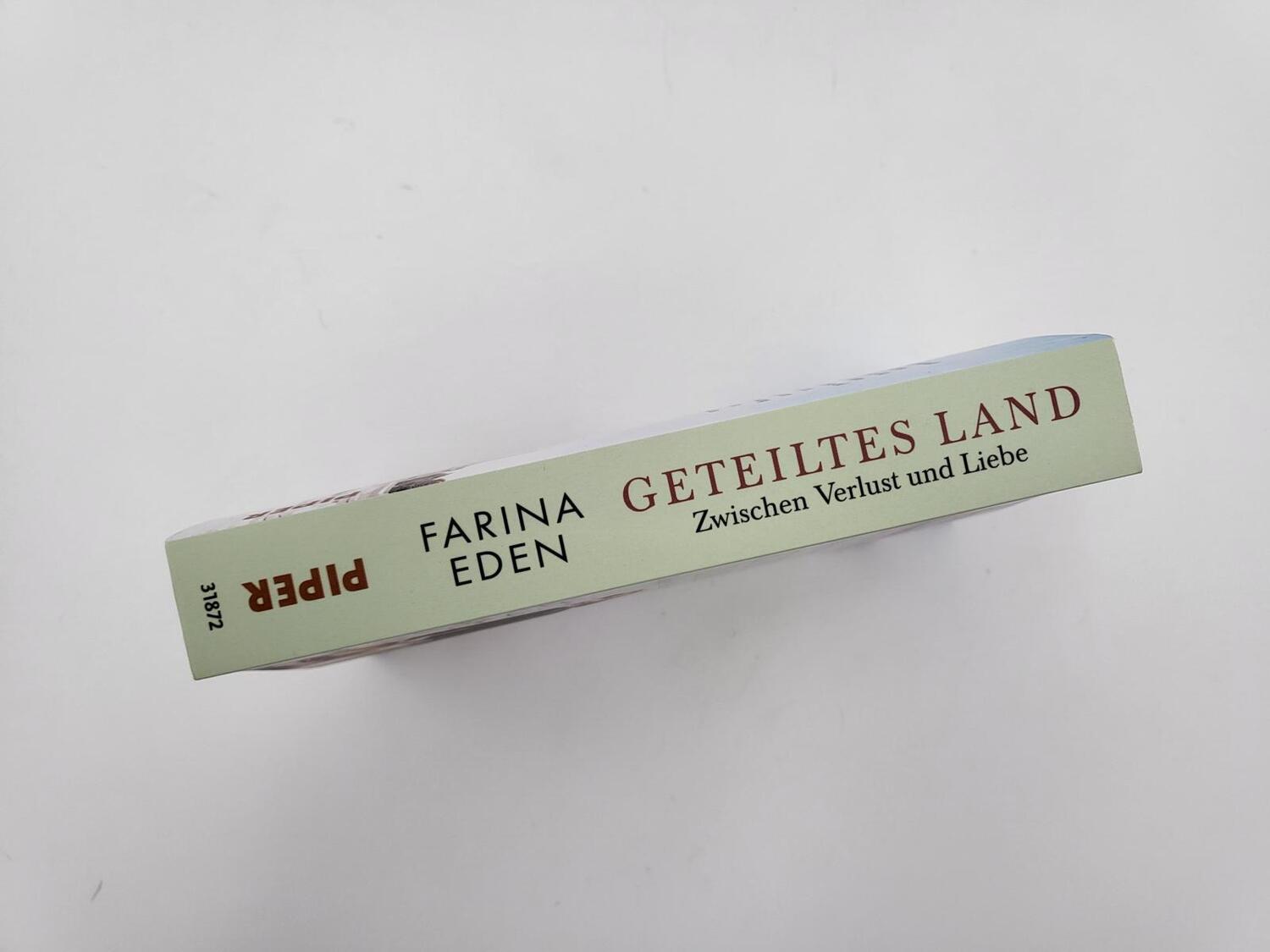 Bild: 9783492318723 | Geteiltes Land - Zwischen Verlust und Liebe | Farina Eden | Buch