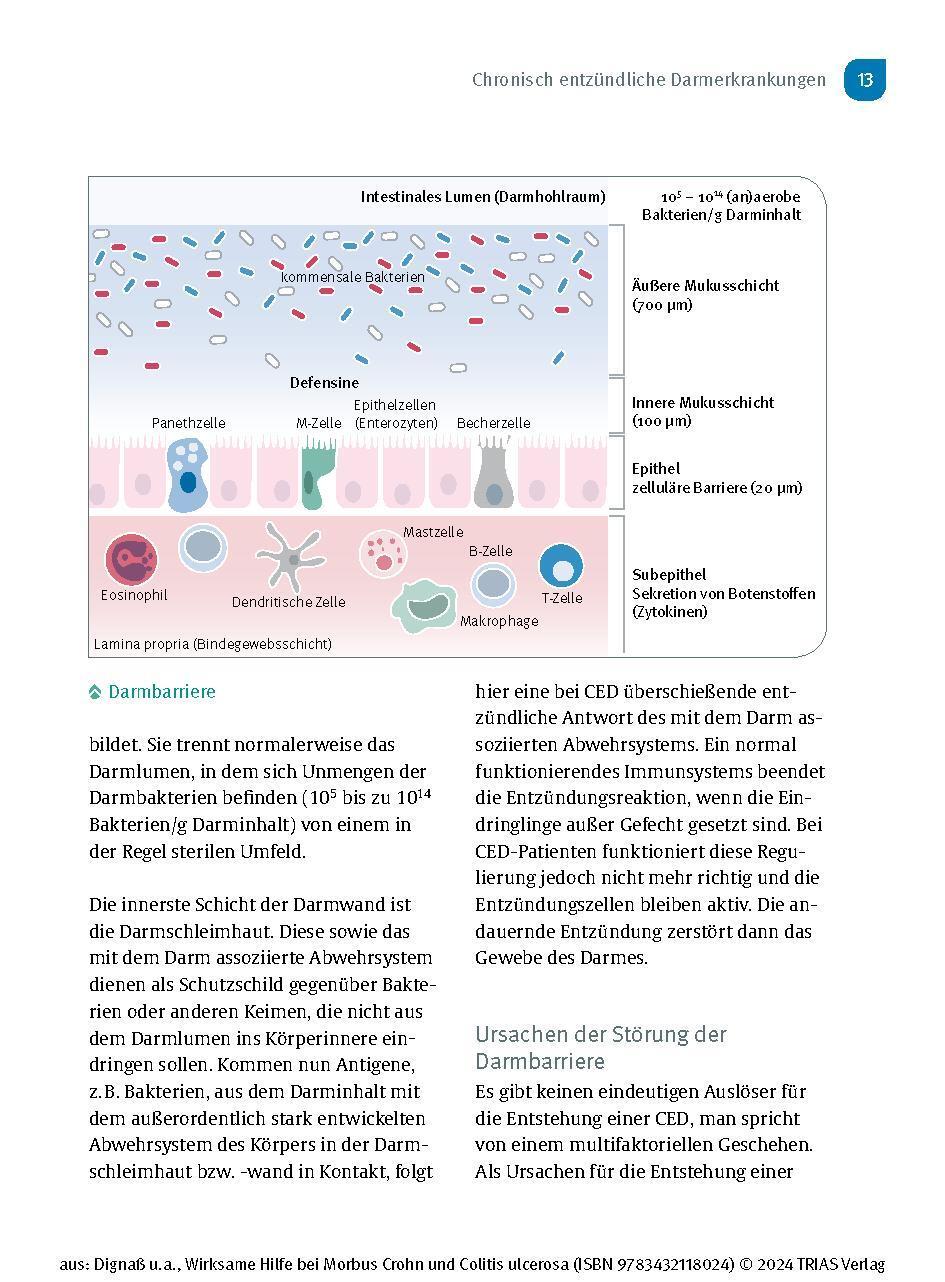 Bild: 9783432118024 | Wirksame Hilfe bei Morbus Crohn und Colitis ulcerosa | Dignaß (u. a.)