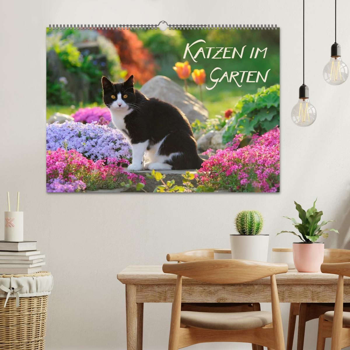 Bild: 9783435811809 | Katzen im Garten (Wandkalender 2025 DIN A2 quer), CALVENDO...