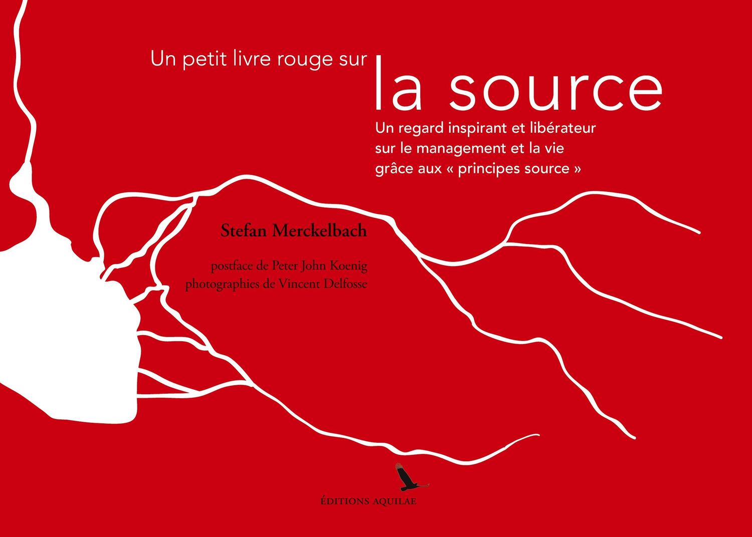 Cover: 9782970108788 | Un petit livre rouge sur la source | Stefan Merckelbach | Taschenbuch