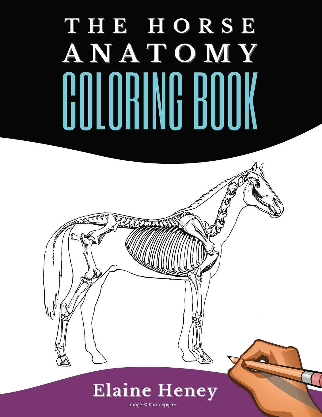 Cover: 9780955265358 | Horse Anatomy Coloring Book For Adults - Self Assessment Equine...