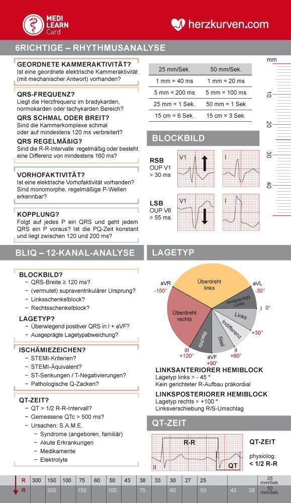 Cover: 9783956581250 | MEDI-LEARN Card: Herzkurven | Stephan List | Stück | Deutsch | 2022