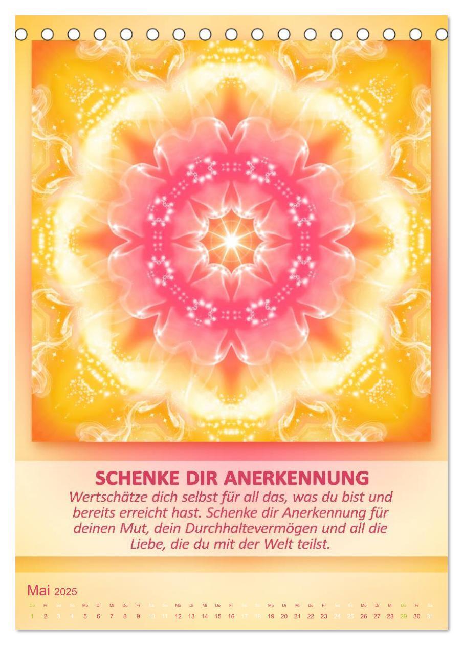 Bild: 9783457079515 | Light Energy Mandalas - Kalender - Vol. 1 (Tischkalender 2025 DIN...