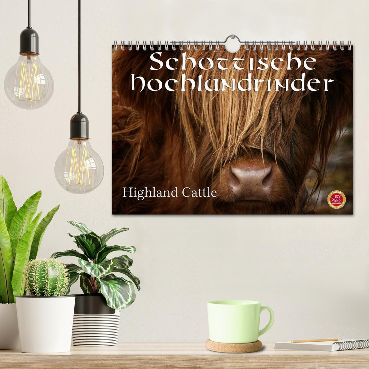 Bild: 9783435643080 | Schottische Hochlandrinder - Highland Cattle (Wandkalender 2025 DIN...