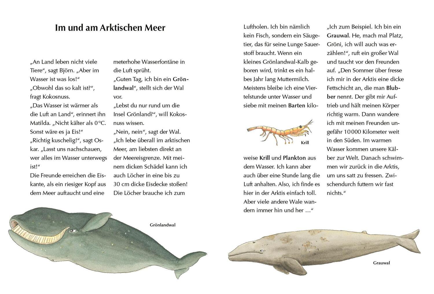 Bild: 9783570180693 | Alles klar! Der kleine Drache Kokosnuss erforscht das ewige Eis | Buch