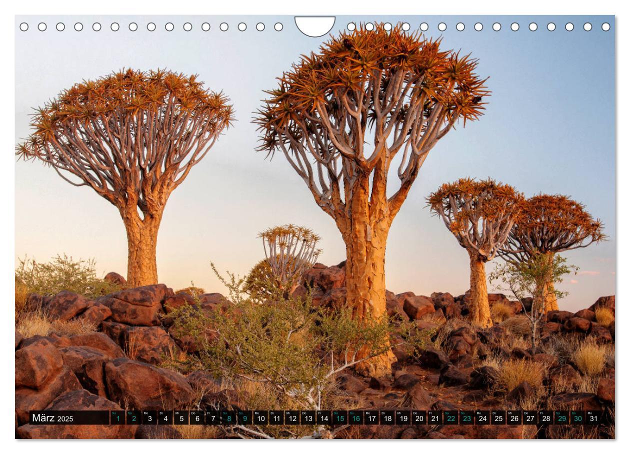 Bild: 9783435110889 | Namibia-Land der Sehnsucht (Wandkalender 2025 DIN A4 quer),...