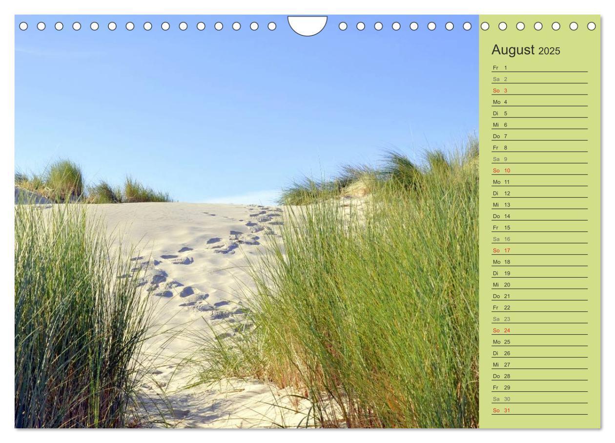 Bild: 9783435549641 | Die Ostsee (Wandkalender 2025 DIN A4 quer), CALVENDO Monatskalender