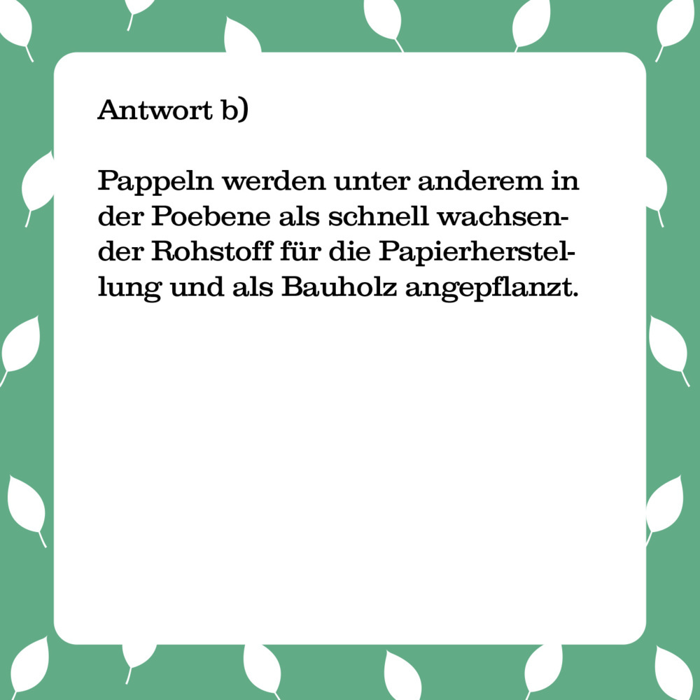 Bild: 4250364114516 | Das Bäume-Quiz (Spiel) | 66 Fragen für Naturliebhaber | Spiel | 66 S.