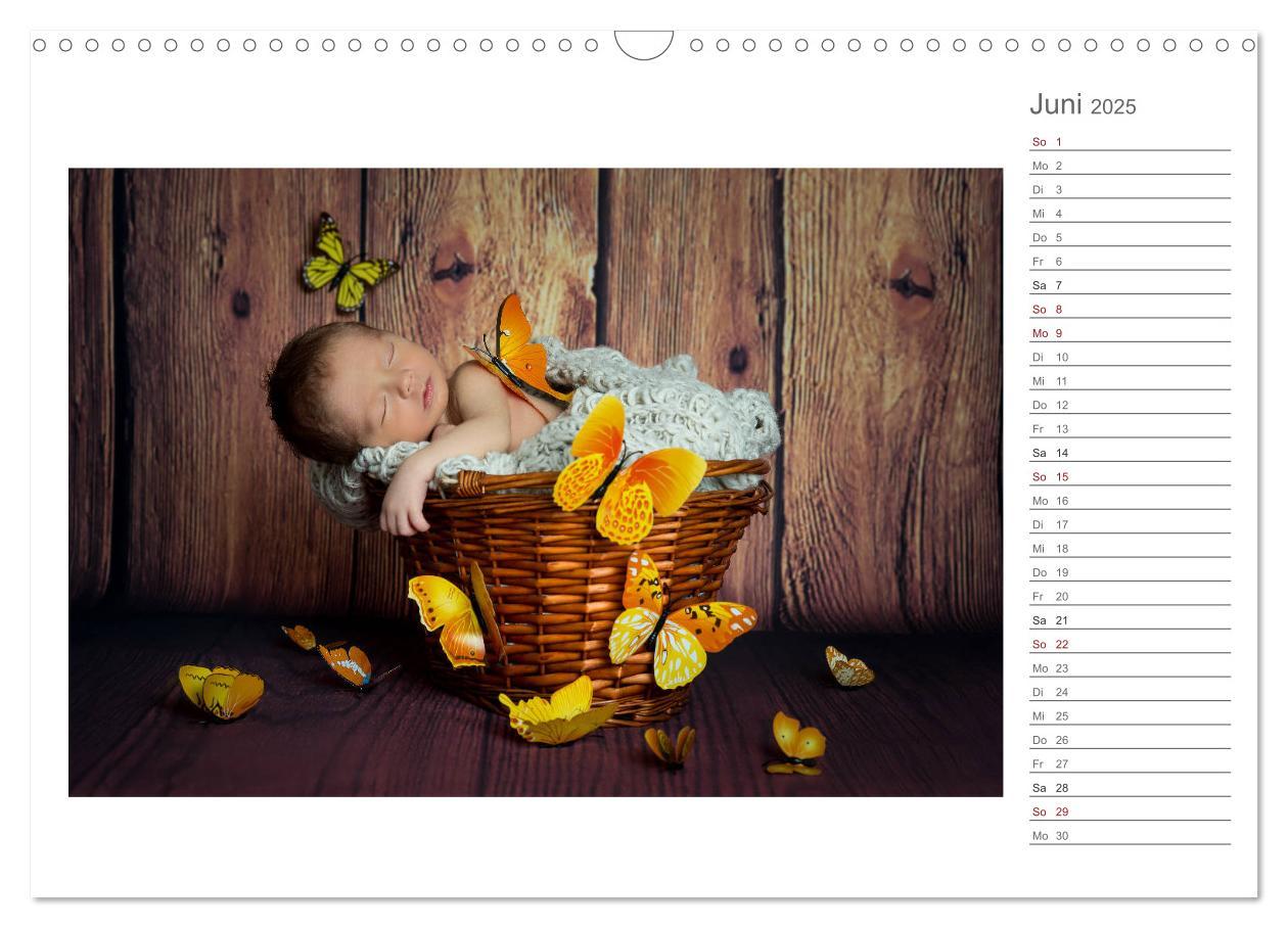 Bild: 9783435437924 | Aller Anfang ist klein - Babykalender mit Noah (Wandkalender 2025...