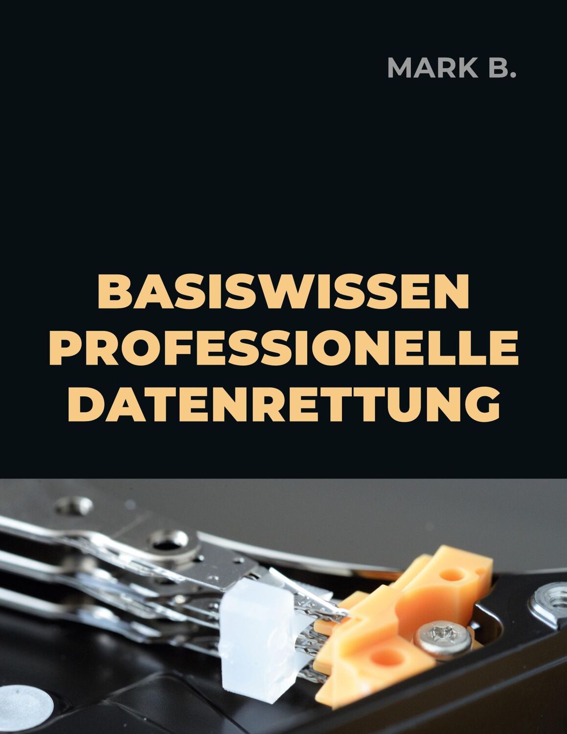 Cover: 9783755759324 | Basiswissen professionelle Datenrettung | Mark B. | Taschenbuch | 2022