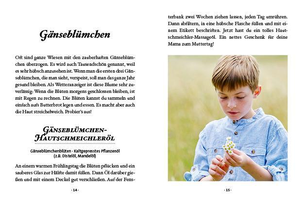 Bild: 9783710401978 | Das kleine Buch: Kräuterwanderung mit Kindern | Ines Scheiblhofer