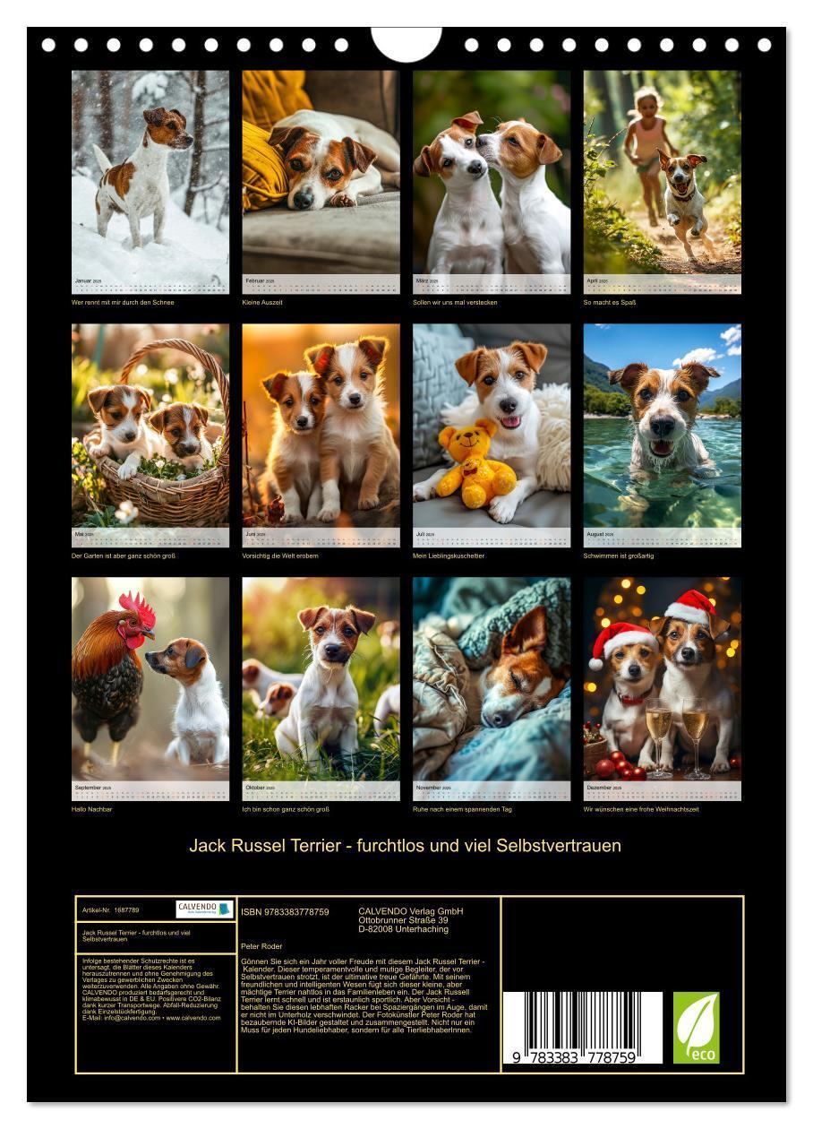 Bild: 9783383778759 | Jack Russel Terrier - furchtlos und viel Selbstvertrauen...