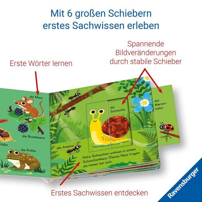 Bild: 9783473417711 | Meine ersten Wörter vom Wald - Sprechen lernen mit großen Schiebern...