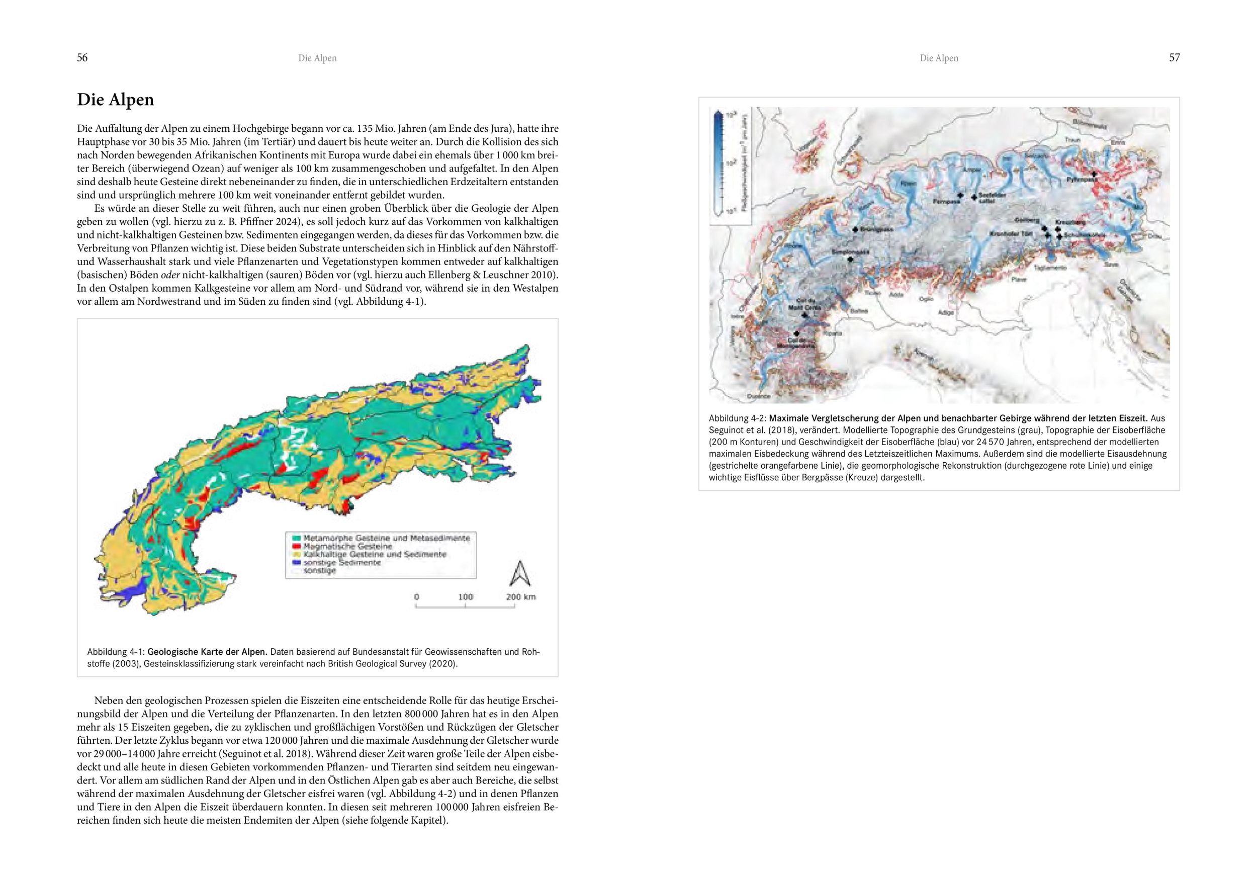 Bild: 9783702511340 | Alpenflora | Oliver Tackenberg | Buch | 800 S. | Deutsch | 2024