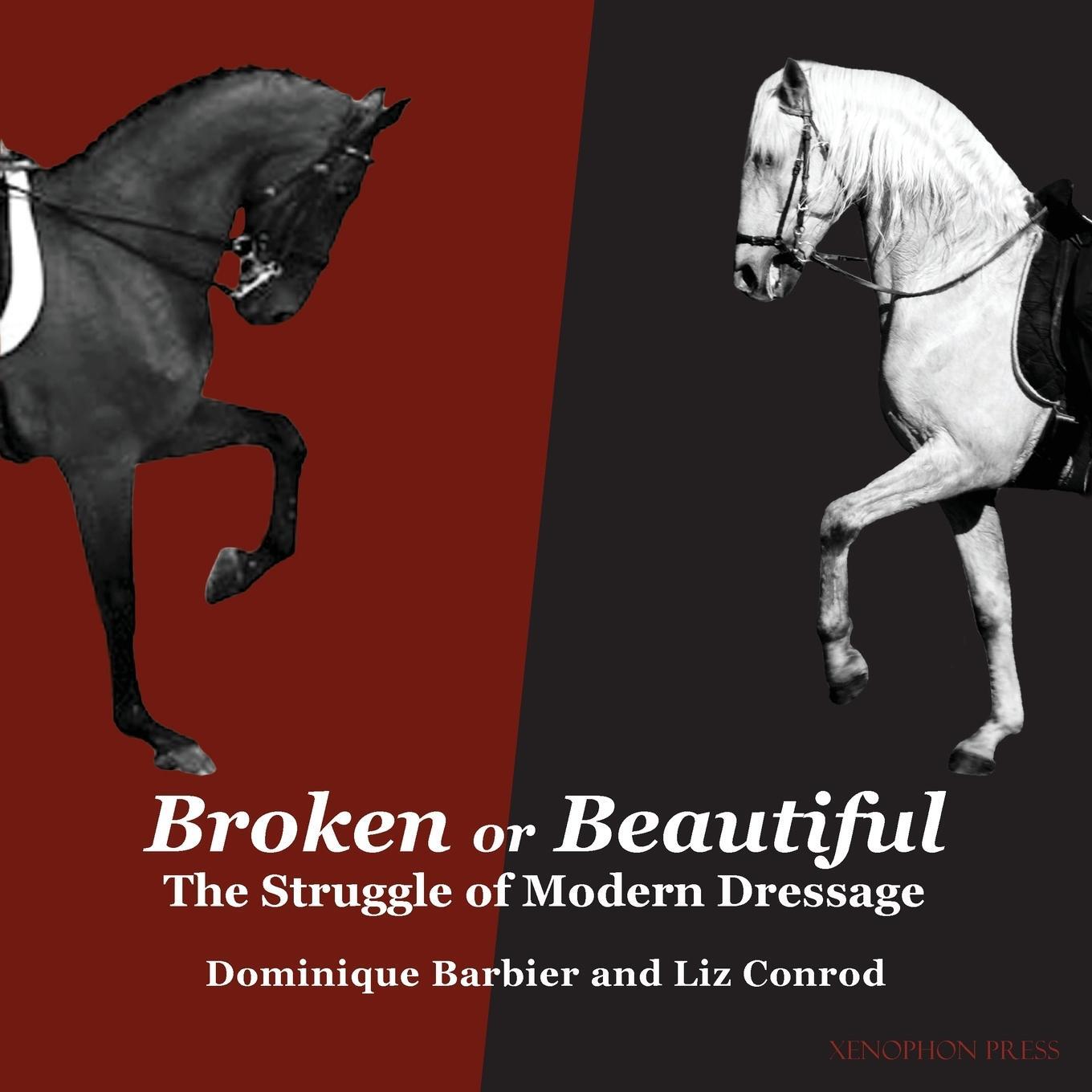 Cover: 9781948717281 | Broken or Beautiful | Liz Conrod | Taschenbuch | Paperback | Englisch