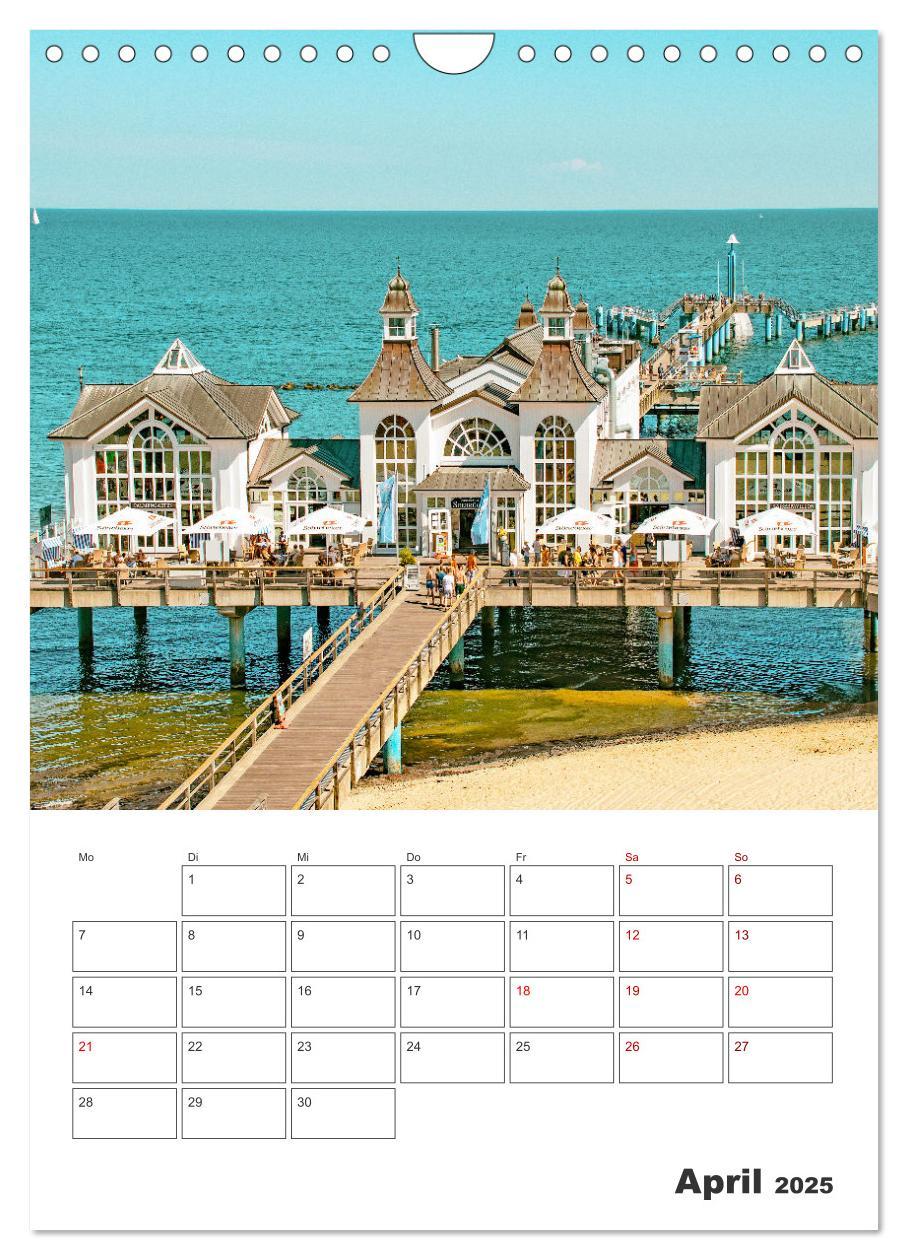 Bild: 9783435918003 | Rügen - Terminplaner (Wandkalender 2025 DIN A4 hoch), CALVENDO...