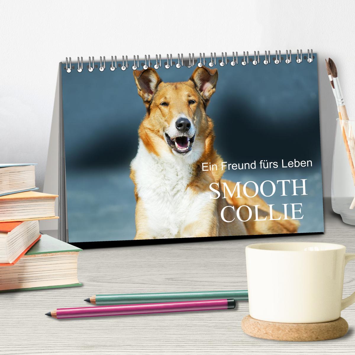 Bild: 9783457153239 | Ein Freund fürs Leben - Smooth Collie (Tischkalender 2025 DIN A5...