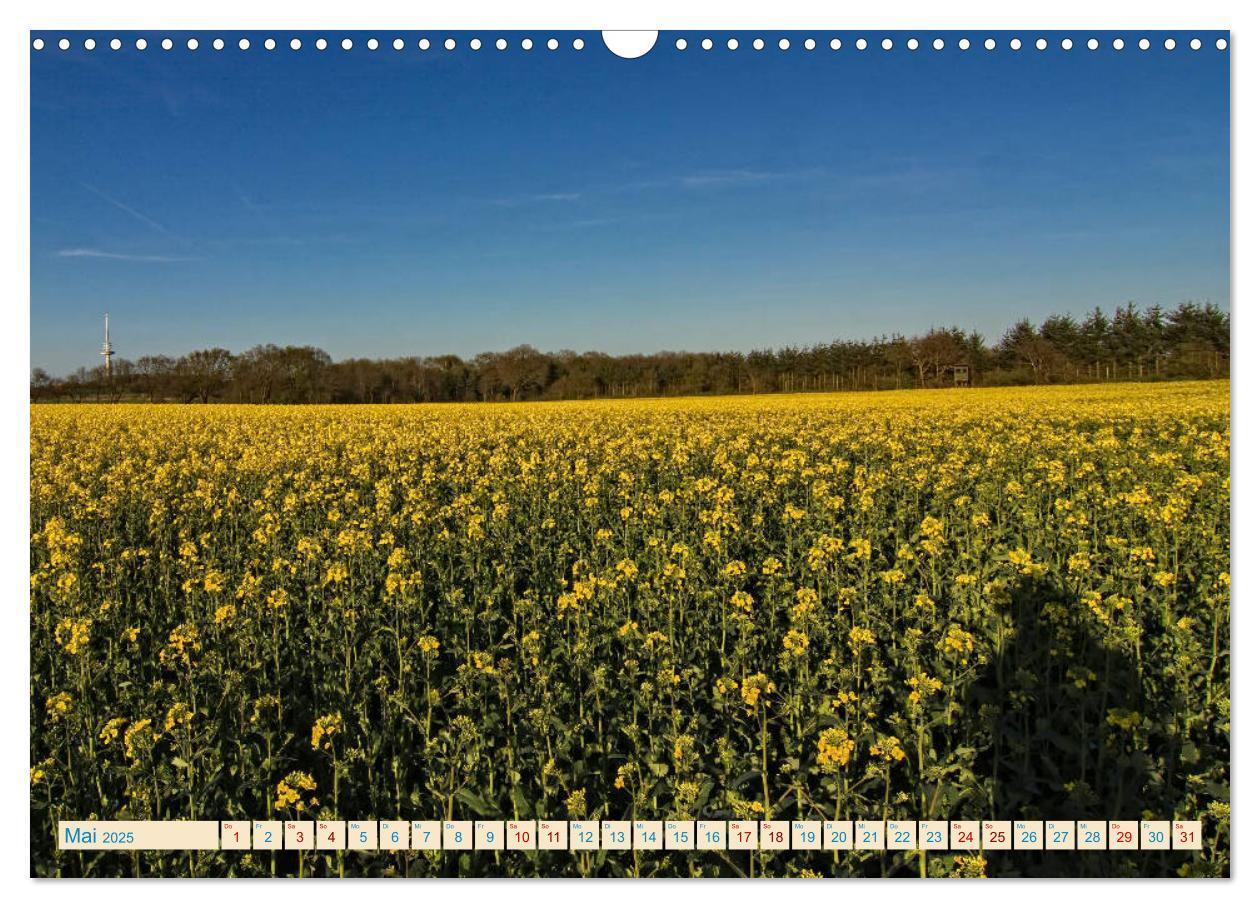 Bild: 9783435428526 | Cuxhaven, Landschaften zwischen Küste und Heide (Wandkalender 2025...