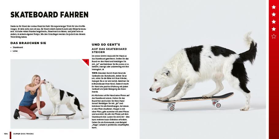 Bild: 9783818617615 | Super Dog Tricks | Sara Carson | Taschenbuch | Deutsch | 2023