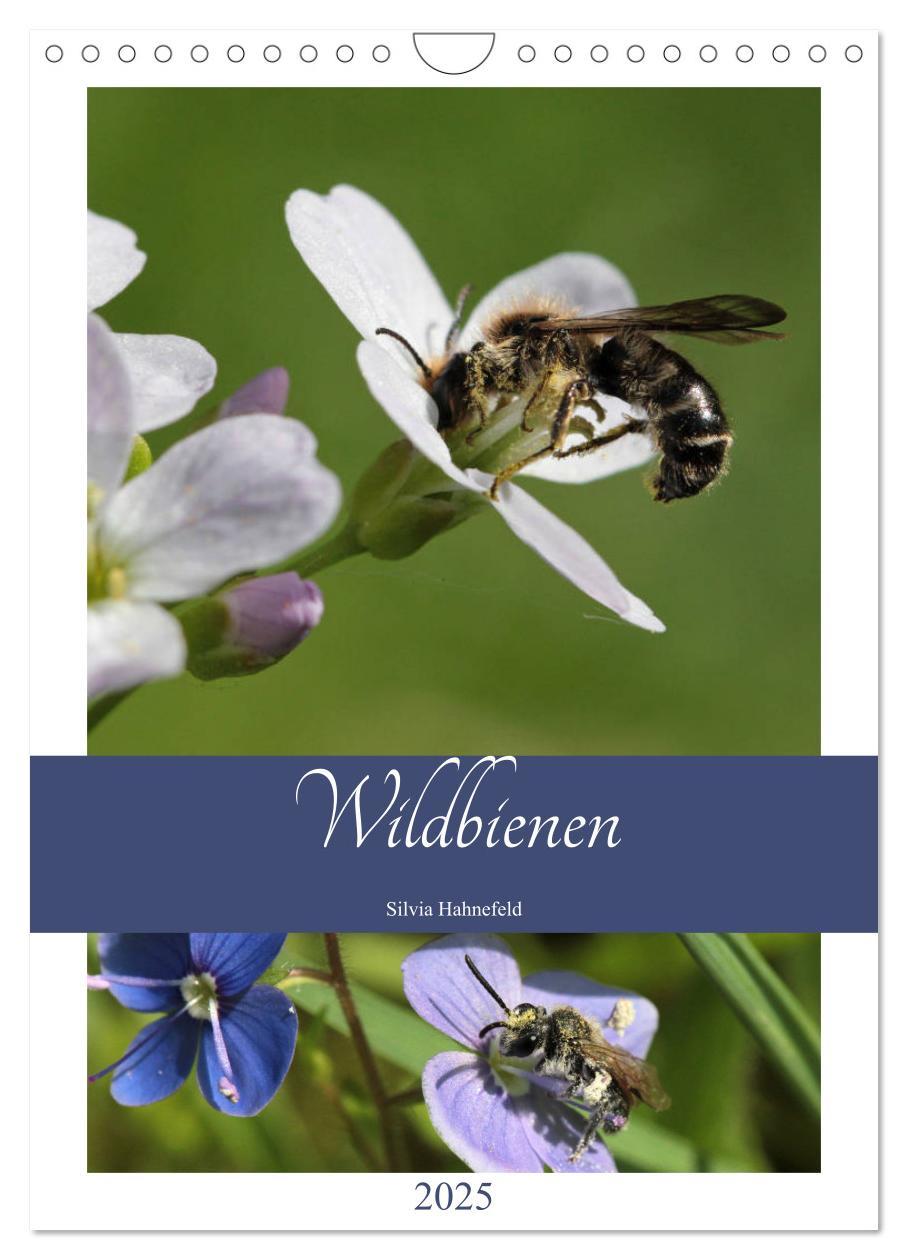 Cover: 9783457002001 | Wildbienen-Terminplaner 2025 (Wandkalender 2025 DIN A4 hoch),...