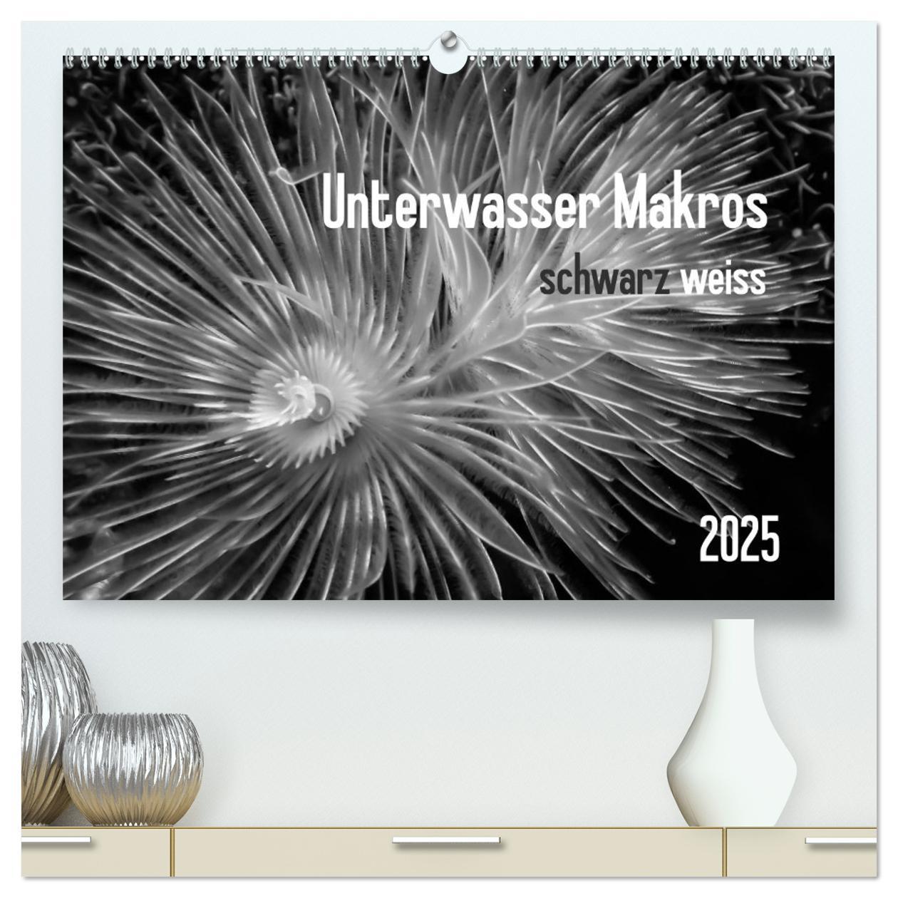 Cover: 9783435586905 | Unterwasser Makros - schwarz weiss 2025 (hochwertiger Premium...