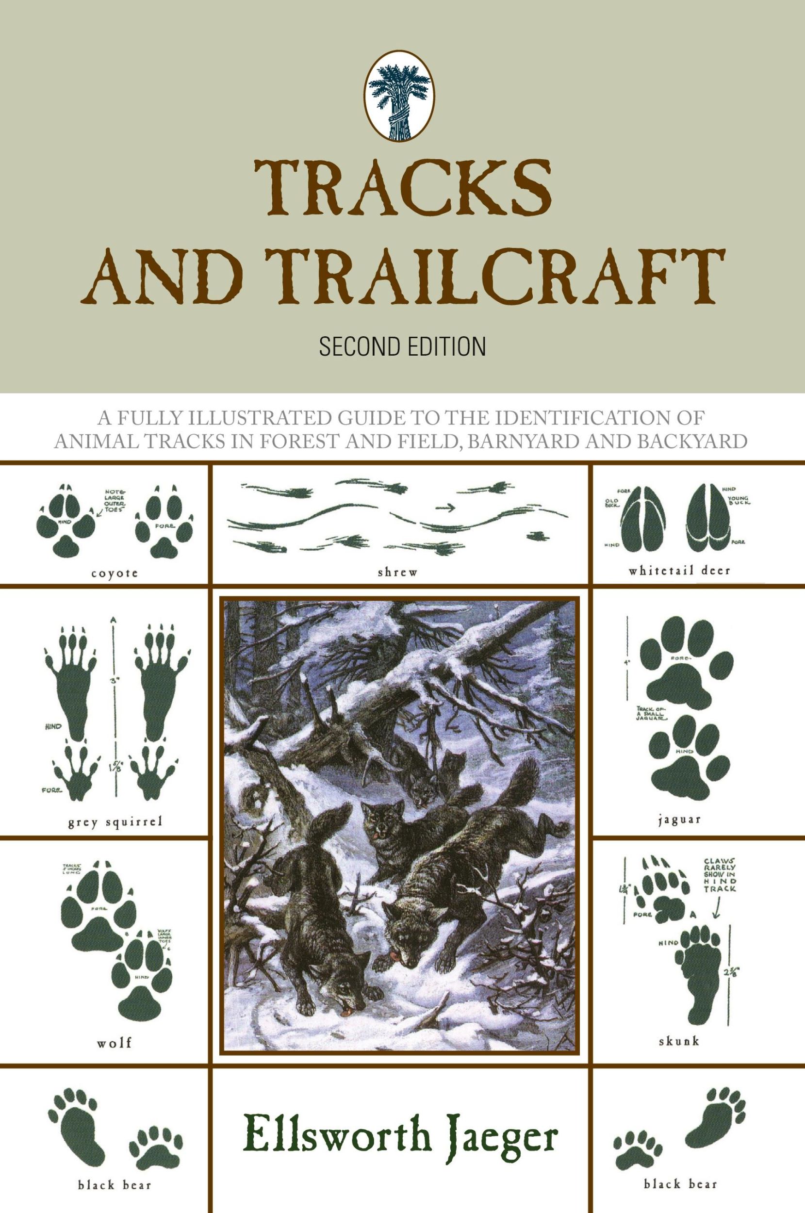 Cover: 9781599218045 | Tracks and Trailcraft | Ellsworth Jaeger | Taschenbuch | Englisch