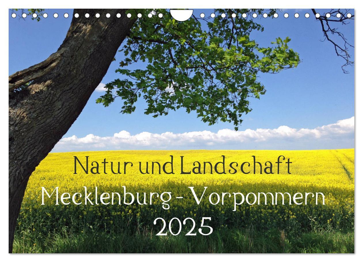 Cover: 9783435134540 | Natur und Landschaft Mecklenburg - Vorpommern 2025 (Wandkalender...