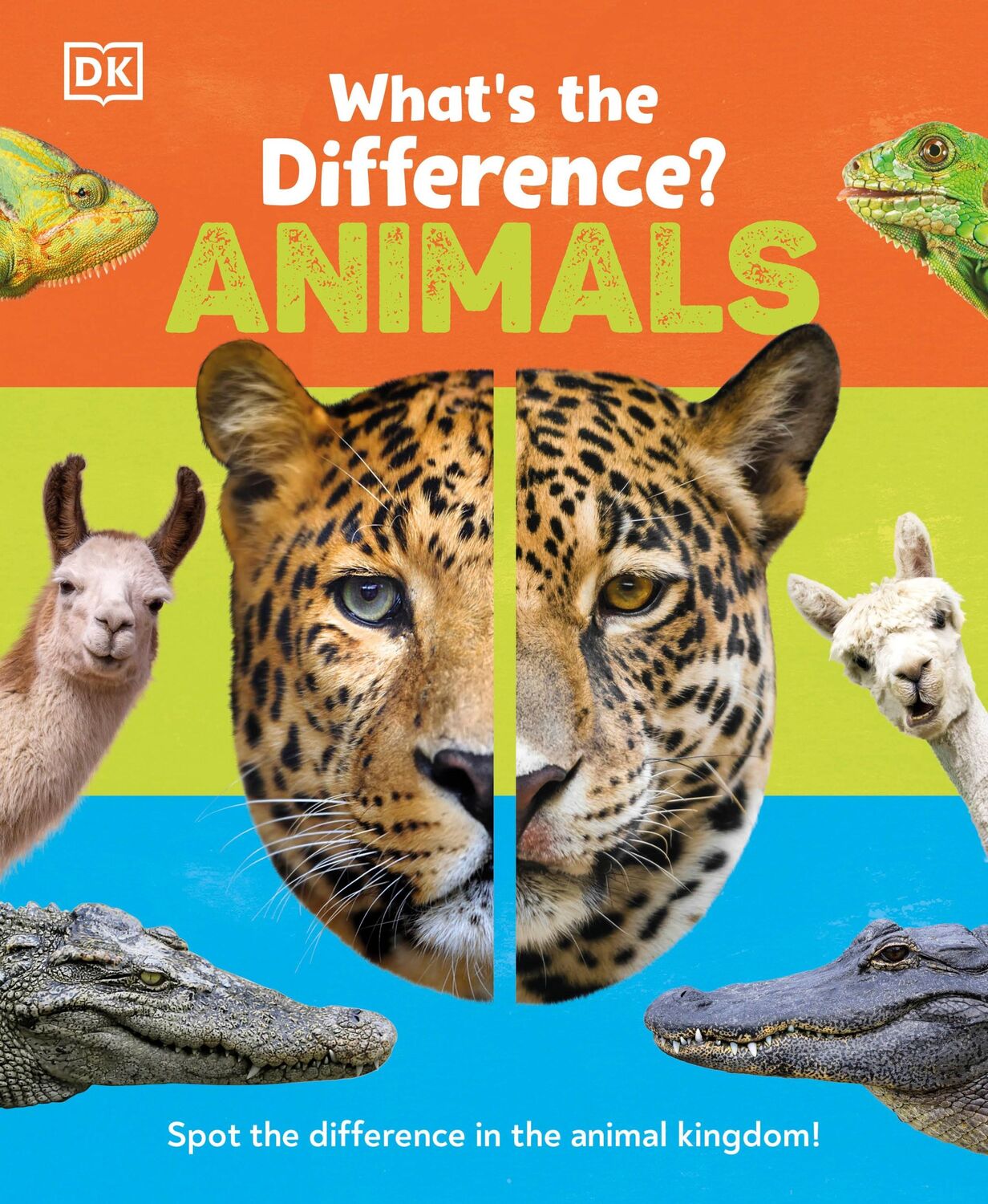 Cover: 9780241538555 | What's the Difference? Animals | Dk | Buch | 2022 | EAN 9780241538555