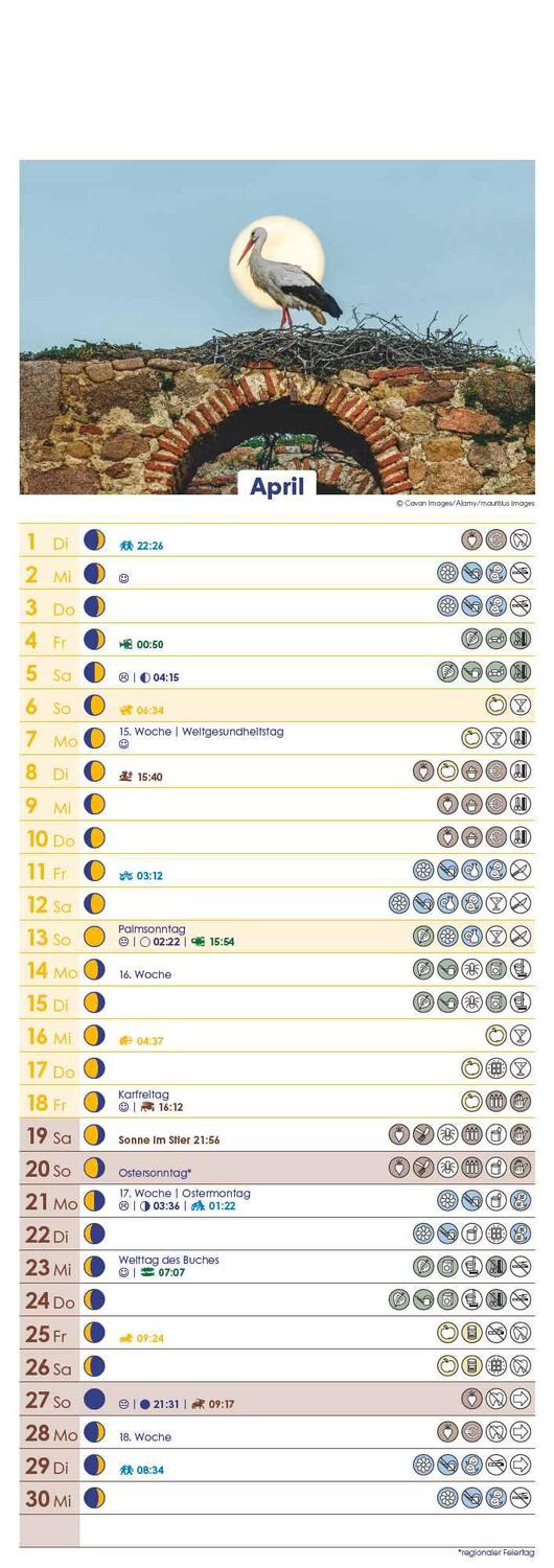 Bild: 4251732341541 | Mondkalender 2025 - Streifen-Kalender 14,85x42 cm - Wandplaner -...