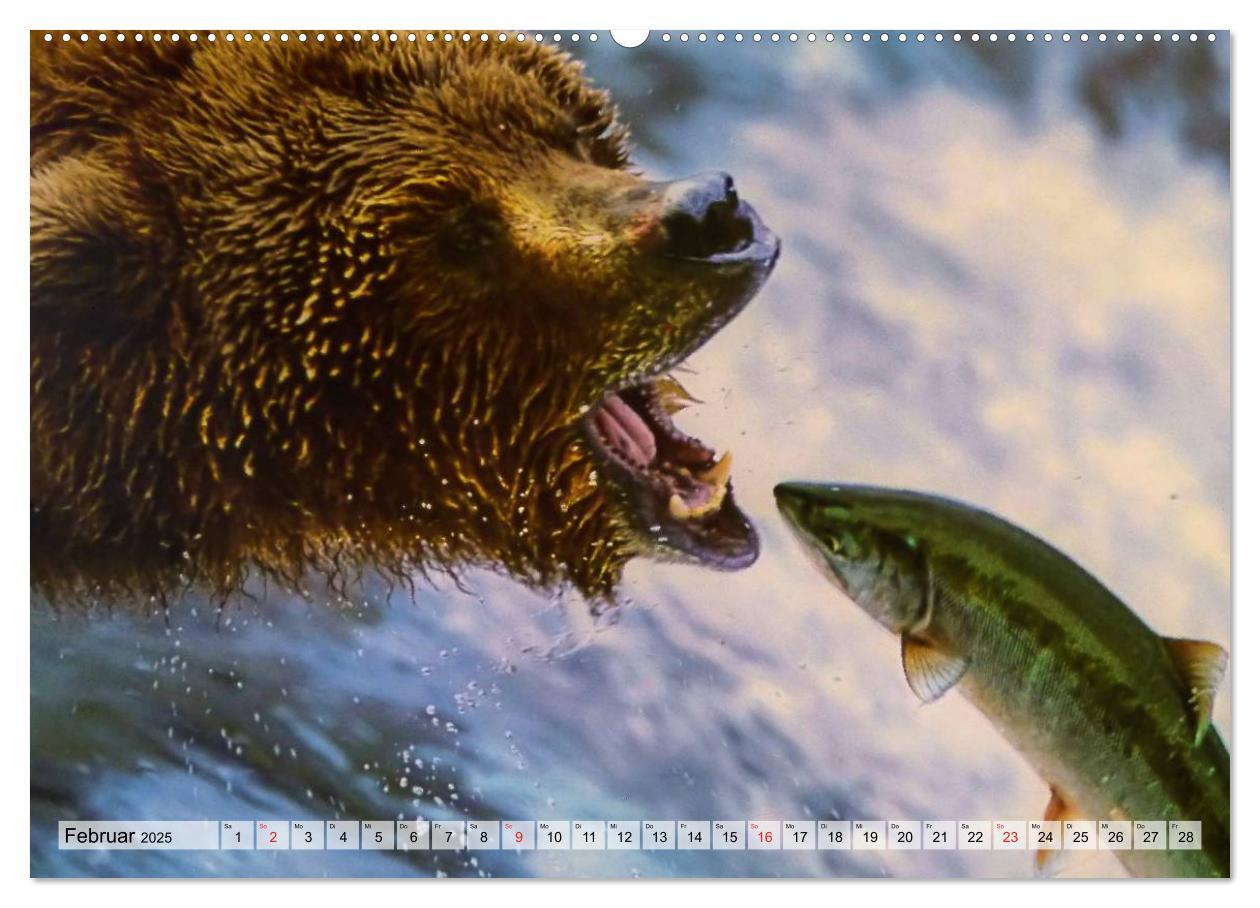 Bild: 9783435622863 | Alaska und Kanada (Wandkalender 2025 DIN A2 quer), CALVENDO...