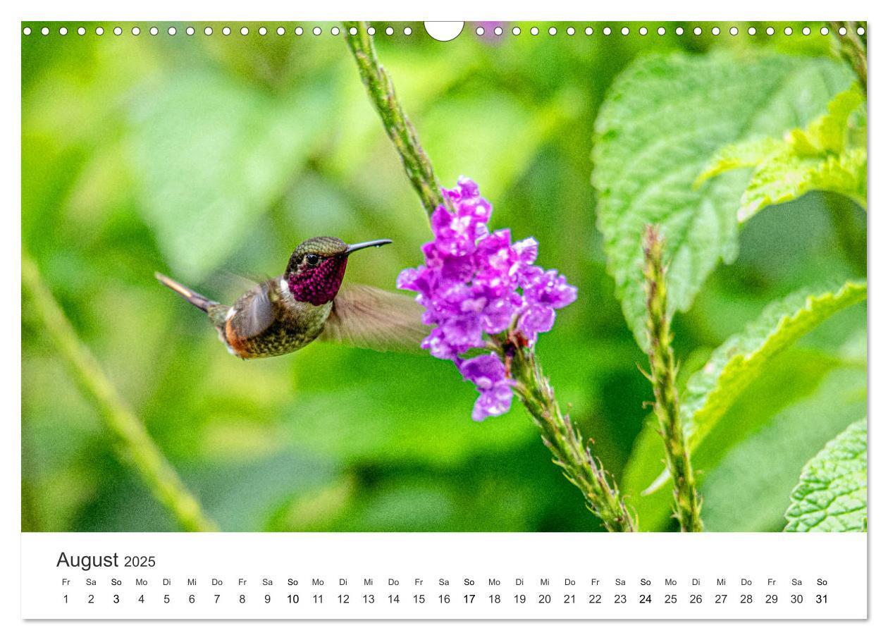 Bild: 9783435153534 | Costa Rica - exotische Tierwelt und unberührte Natur (Wandkalender...