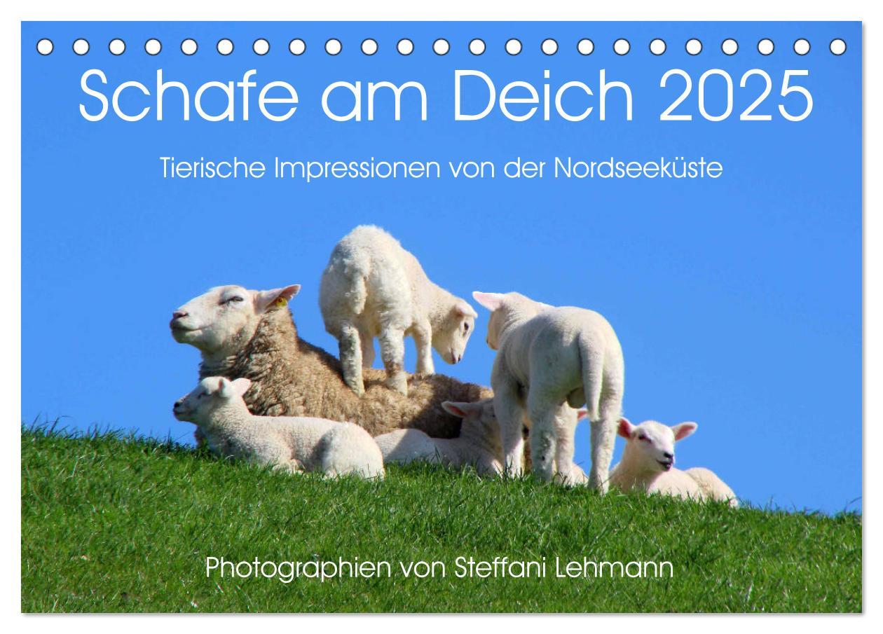 Cover: 9783435649815 | Schafe am Deich 2025. Tierische Impressionen von der Nordseeküste...