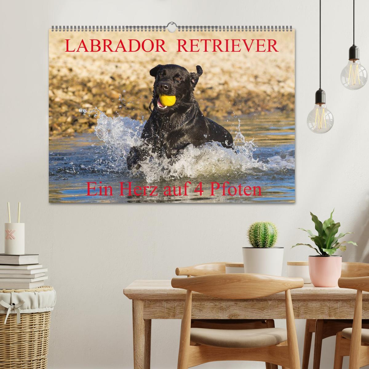 Bild: 9783435640805 | Labrador Retriever - ein Herz auf 4 Pfoten (Wandkalender 2025 DIN...