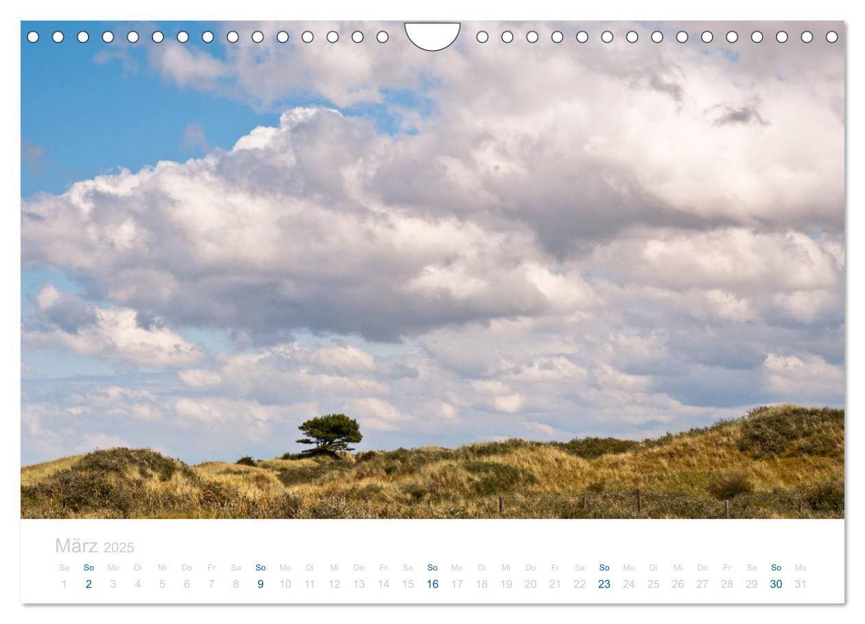 Bild: 9783435817139 | Ameland (Wandkalender 2025 DIN A4 quer), CALVENDO Monatskalender