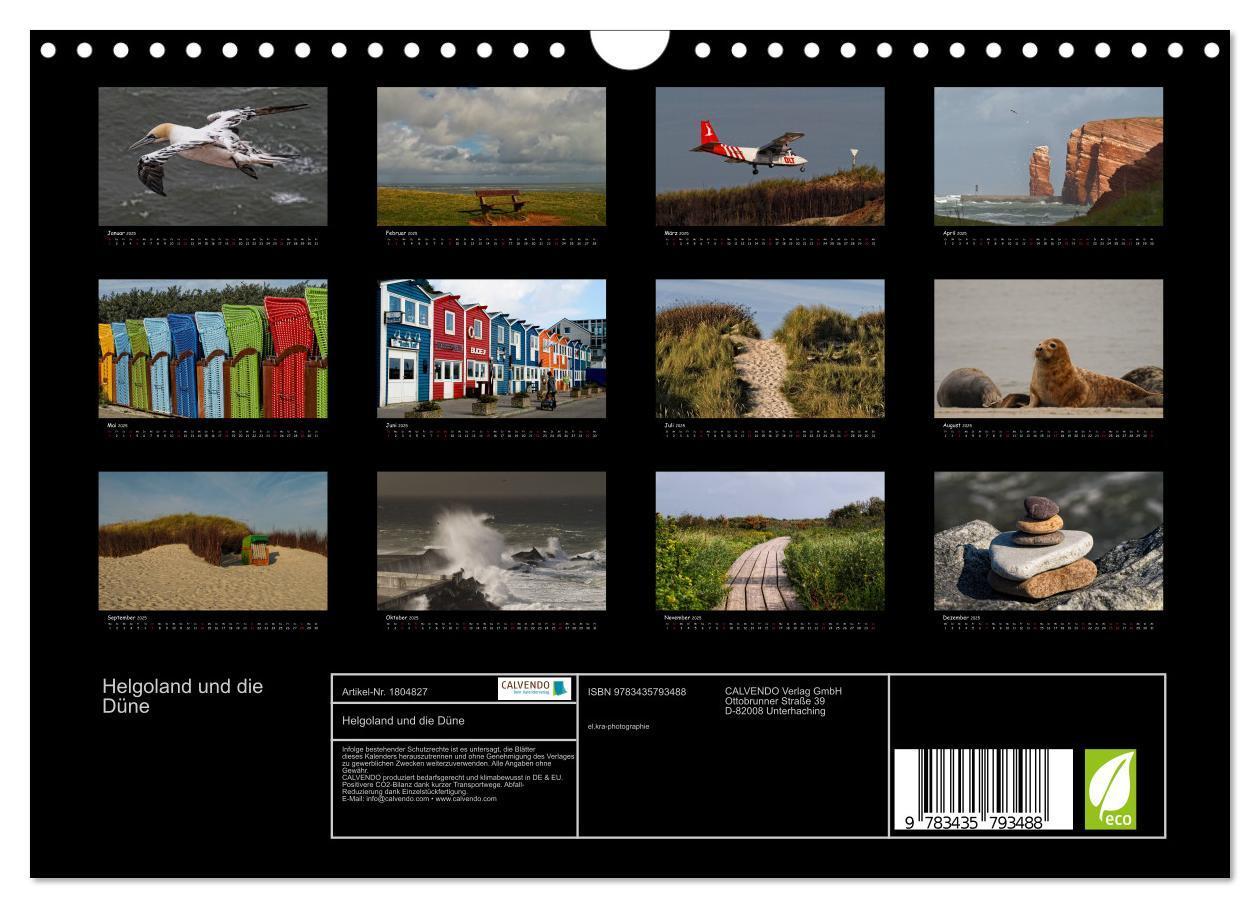 Bild: 9783435793488 | Helgoland und die Düne (Wandkalender 2025 DIN A4 quer), CALVENDO...