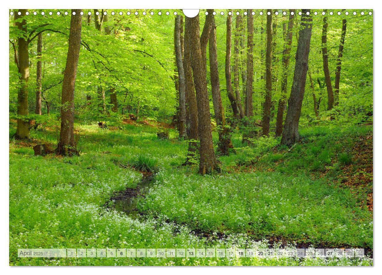 Bild: 9783435409471 | Moore und Bäche in Eifel und Ardennen (Wandkalender 2025 DIN A3...