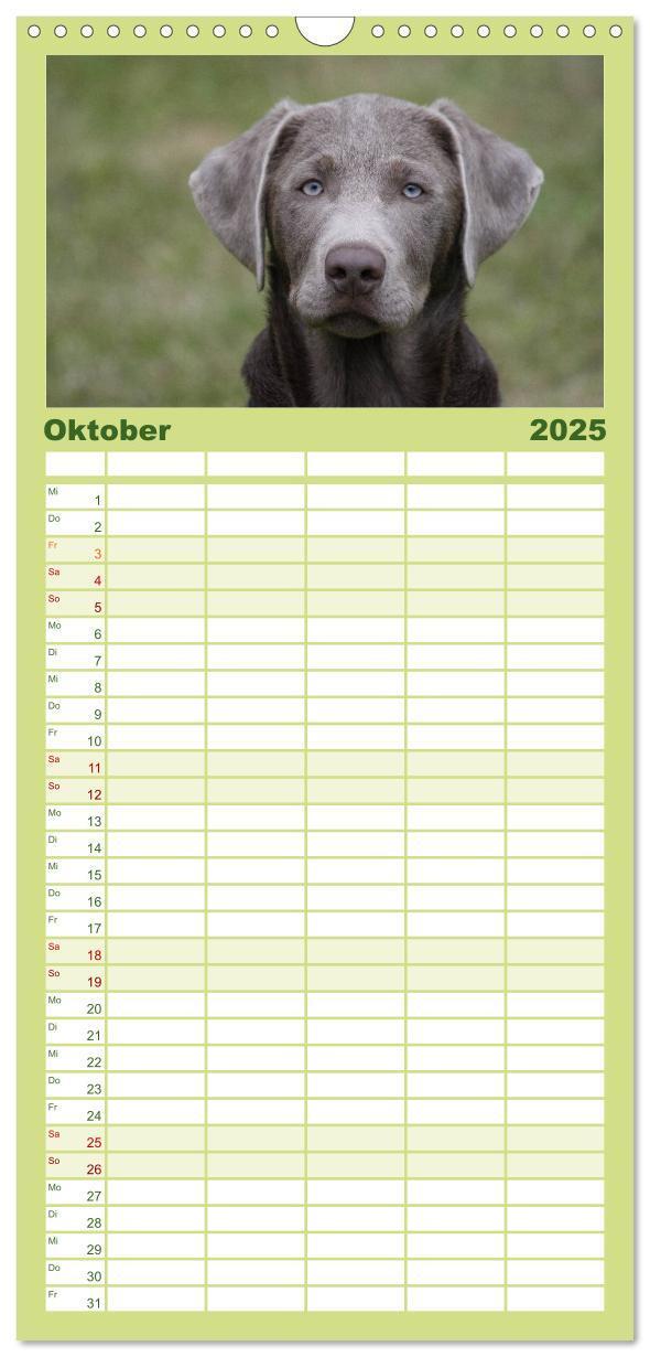 Bild: 9783457111376 | Familienplaner 2025 - Der Hundewelpen-Geburtstagskalender mit 5...