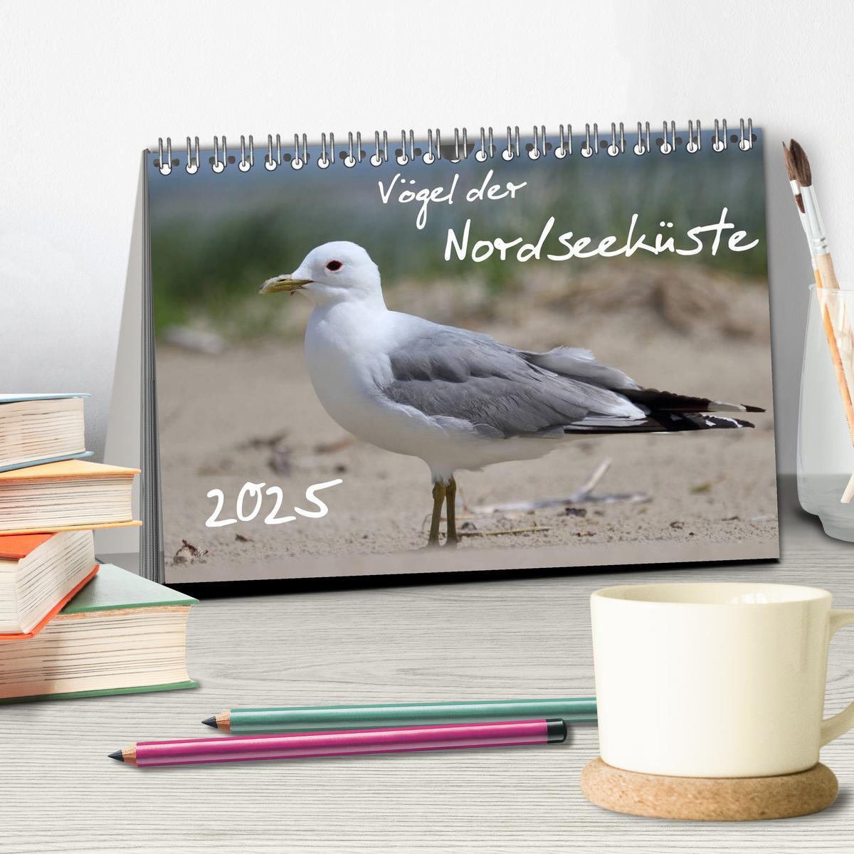 Bild: 9783435605958 | Vögel der Nordseeküste (Tischkalender 2025 DIN A5 quer), CALVENDO...