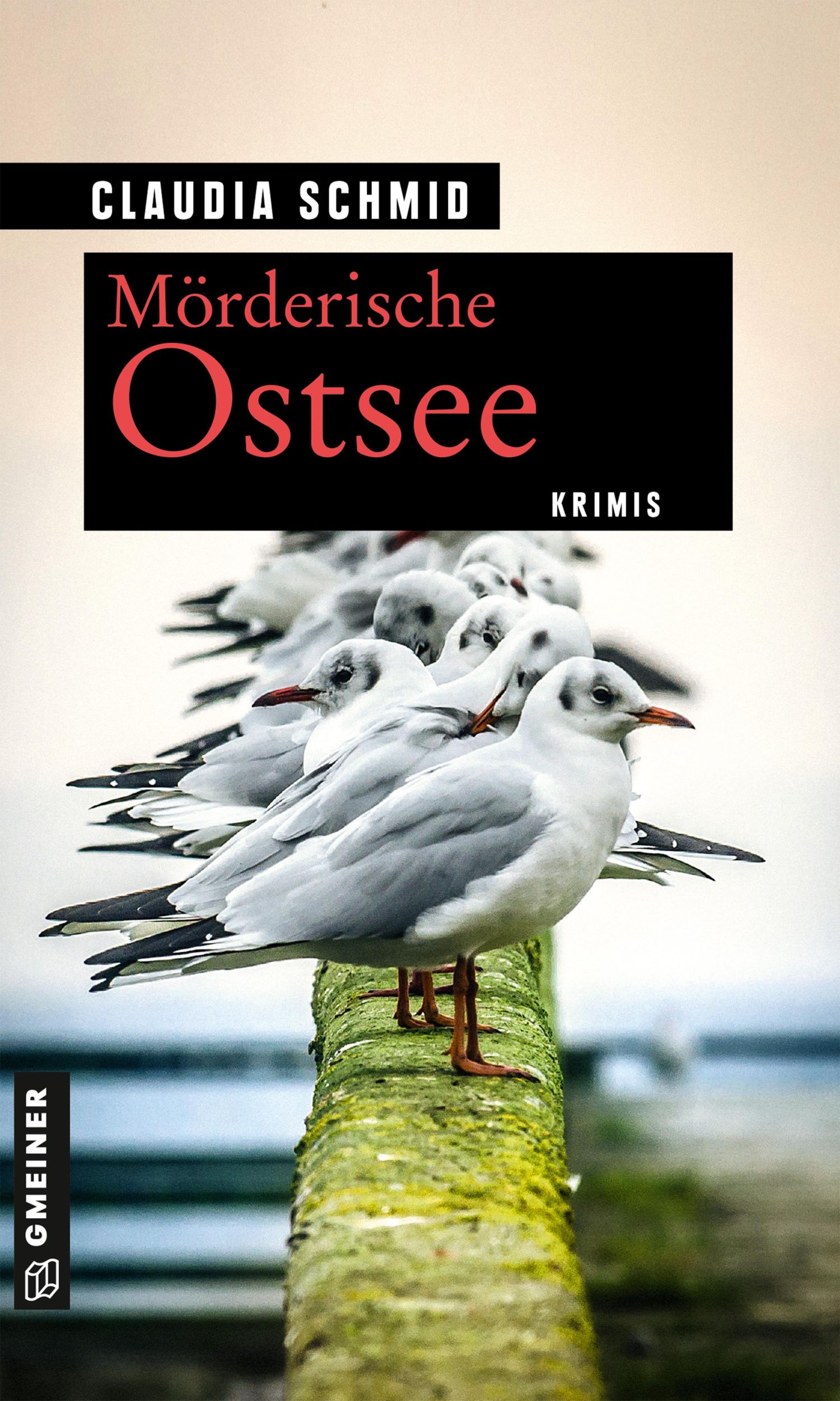 Cover: 9783839228449 | Mörderische Ostsee | Krimis | Claudia Schmid | Taschenbuch | 286 S.