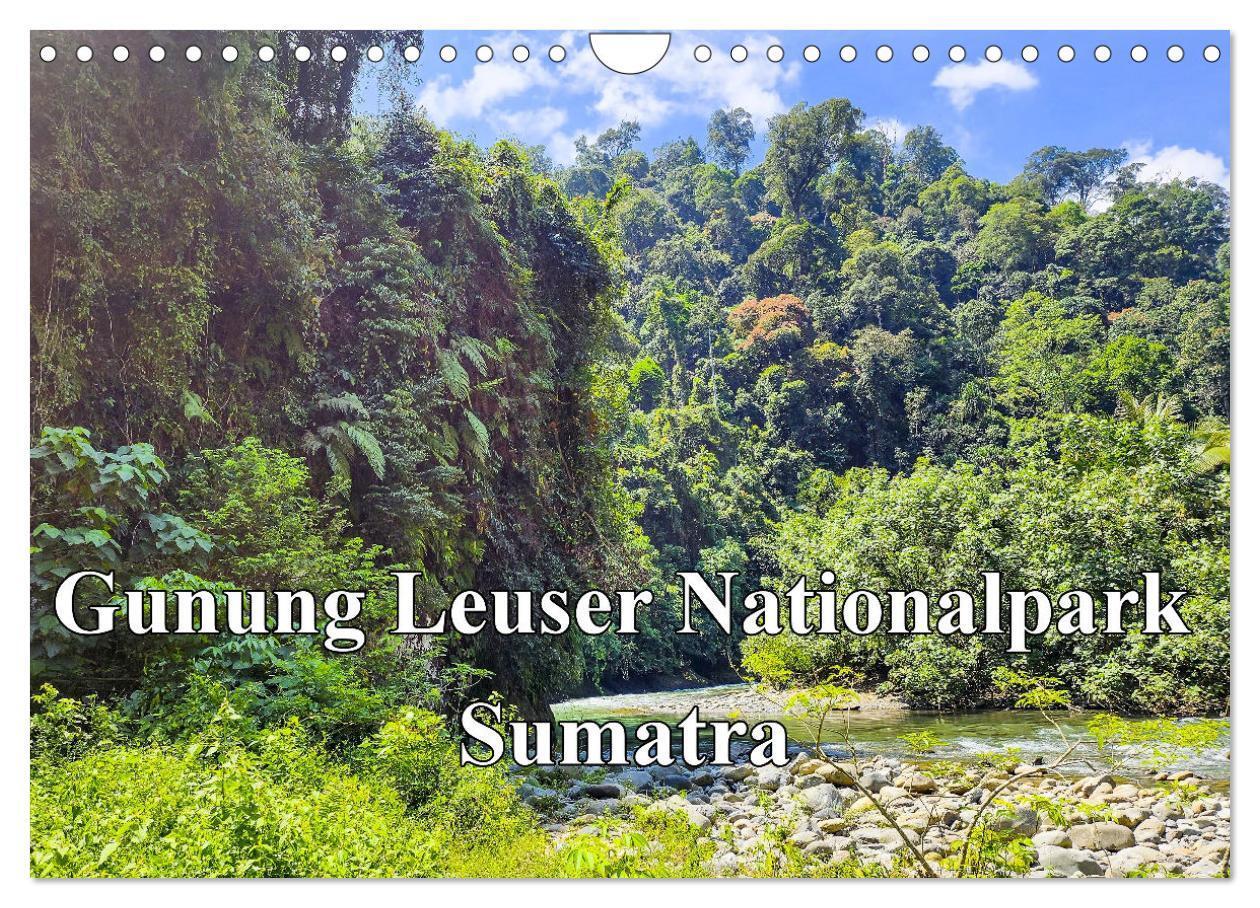 Cover: 9783457151006 | Gunung Leuser Nationalpark Sumatra (Wandkalender 2025 DIN A4 quer),...