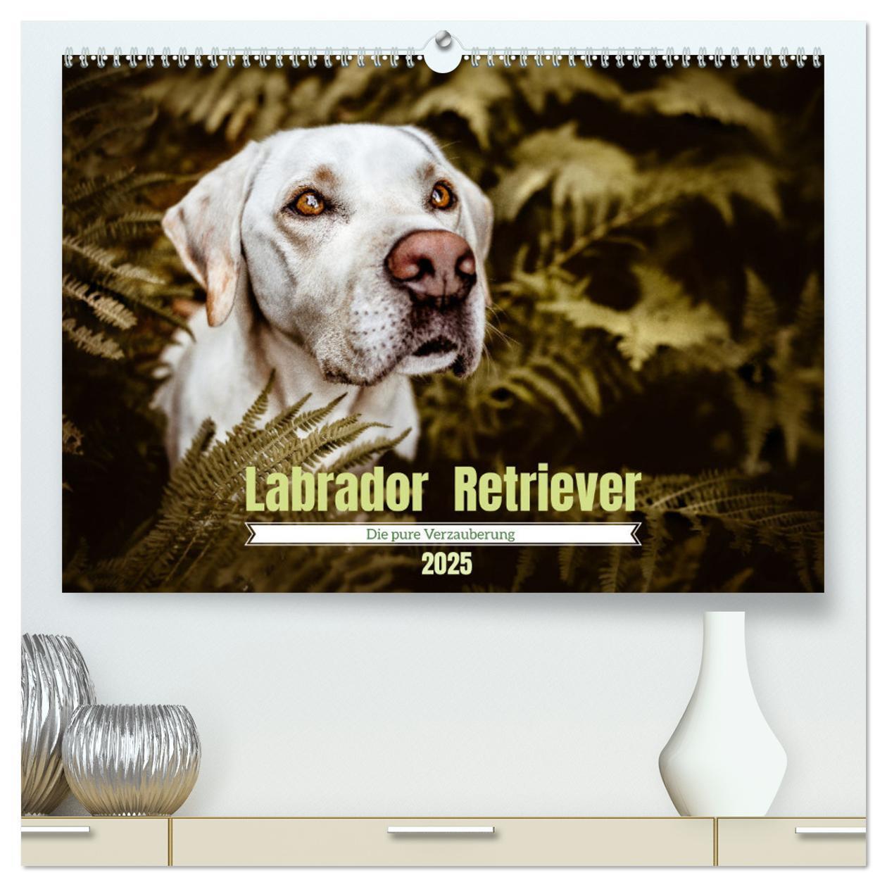 Cover: 9783435015832 | Verzauberung Labrador Retriever 2025 (hochwertiger Premium...