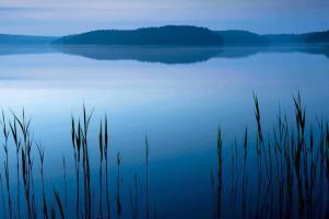 Bild: 9783941803015 | Müritz-Nationalpark | Hommage an eine Landschaft | Bartocha (u. a.)