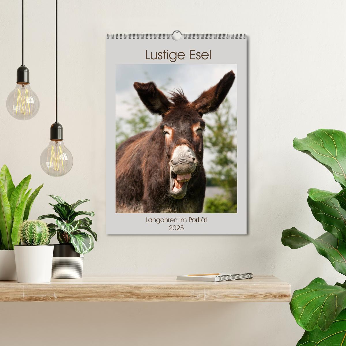 Bild: 9783435997800 | Lustige Esel - Langohren im Porträt (Wandkalender 2025 DIN A3...