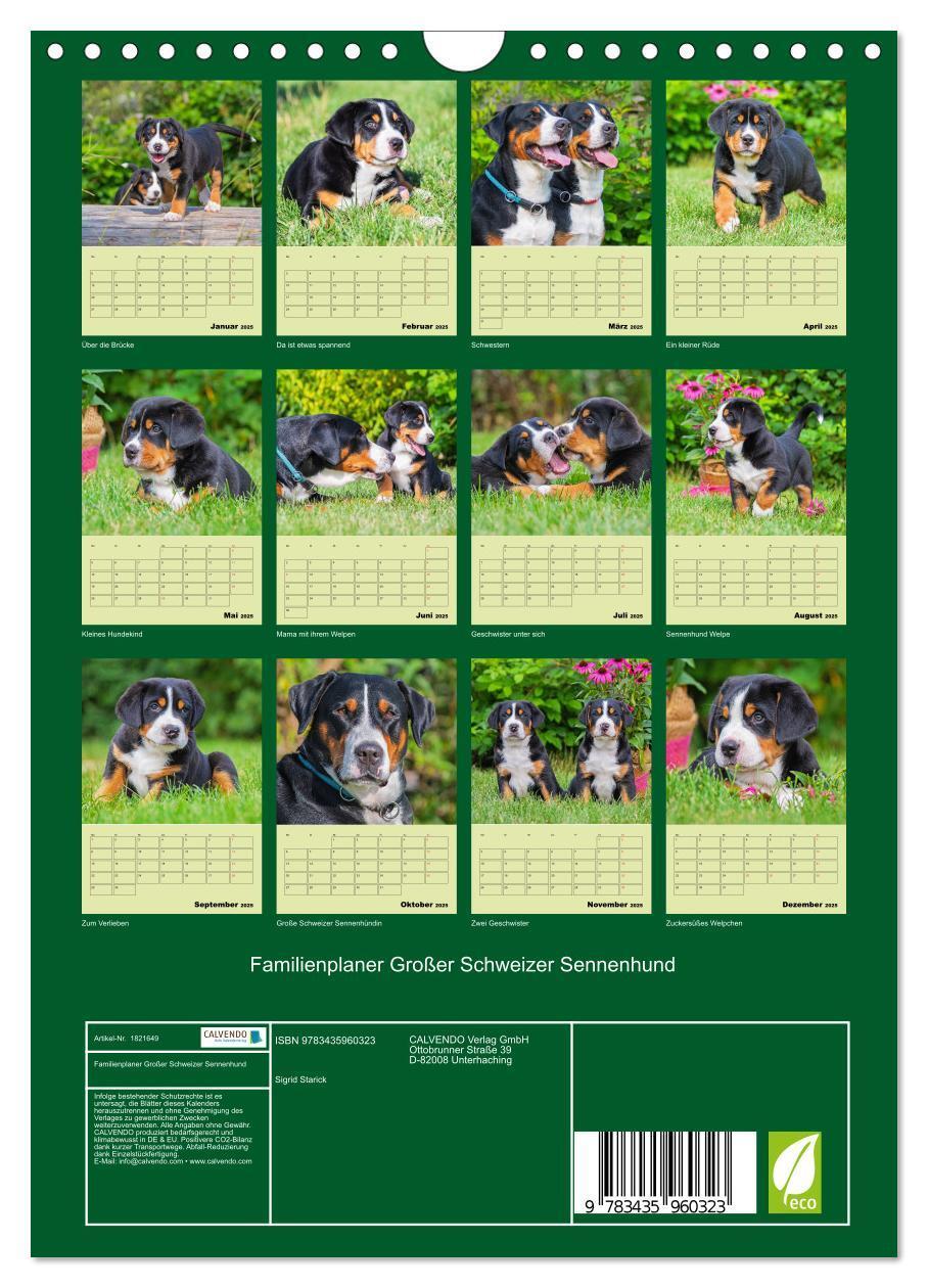 Bild: 9783435960323 | Familienplaner Großer Schweizer Sennenhund (Wandkalender 2025 DIN...