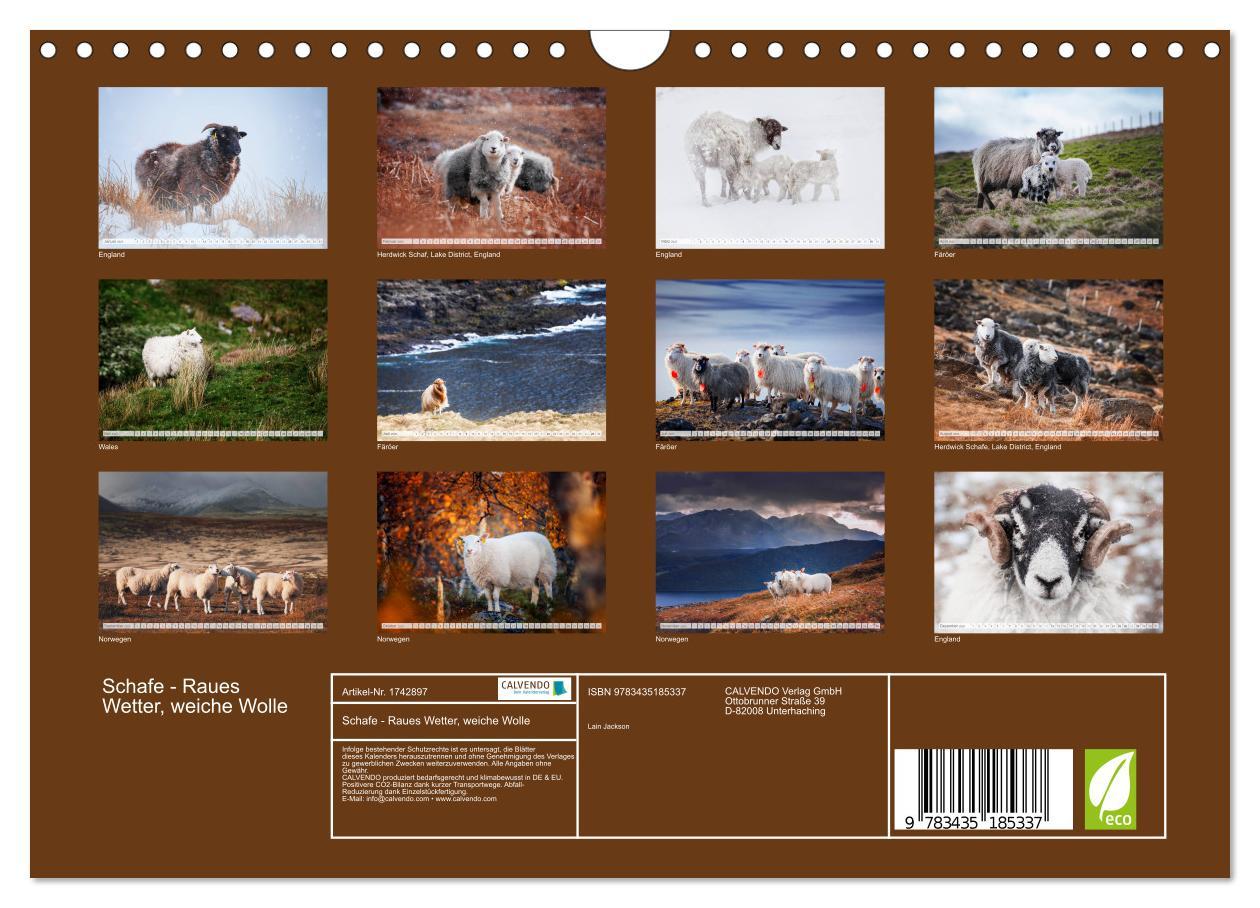 Bild: 9783435185337 | Schafe - Raues Wetter, weiche Wolle (Wandkalender 2025 DIN A4...