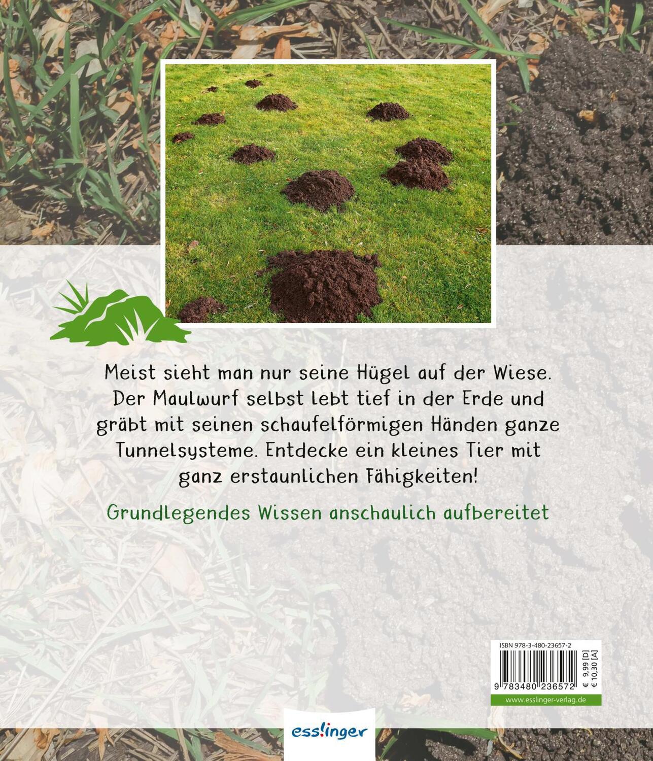 Rückseite: 9783480236572 | Meine große Tierbibliothek: Der Maulwurf | Jens Poschadel | Buch